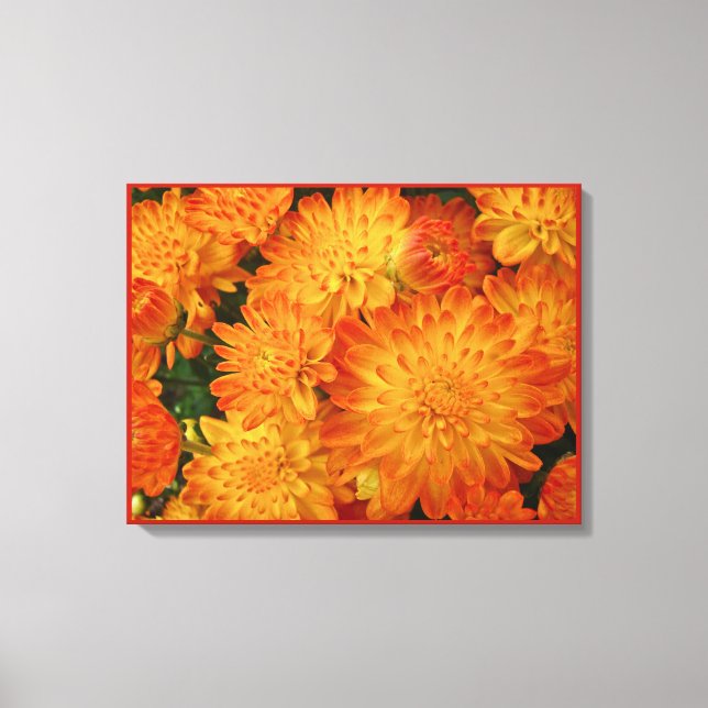 Feuer Orange Chrysanthemas Leinwanddruck (Vorderseite)