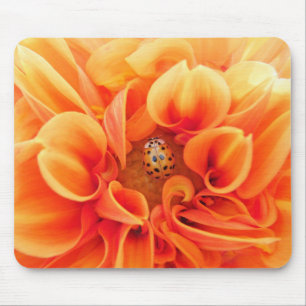 Feuer Orange Dahlia mit Lady Bug Blume Mousepad