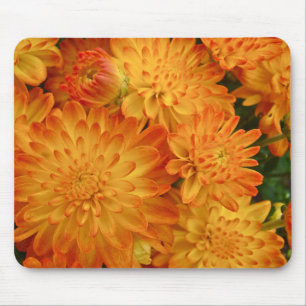 Feuer-Orangen-Chrysanthemen Mousepad