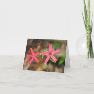 Feuer-Rosa - Customized2 Karte