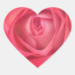 Feuer-u. Eis-Rosen-Herz-Aufkleber Herz-Aufkleber