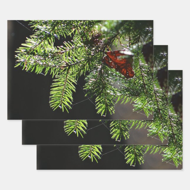 Feuerbaum Geschenkpapier Set (Set)