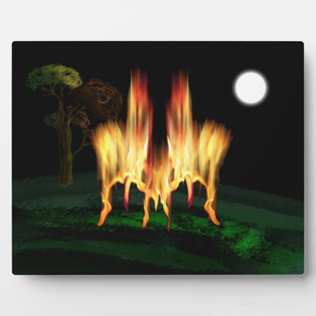 Feuergefahr Fotoplatte (Vorderseite)