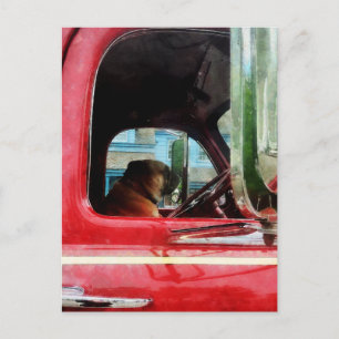 Feuermanns bester Freund Postkarte