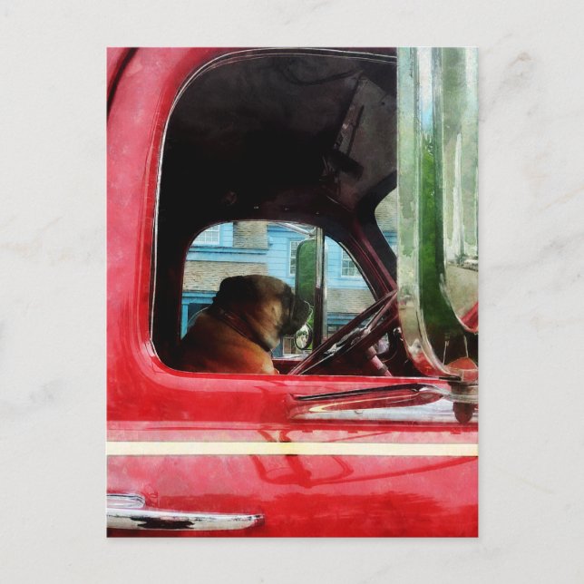 Feuermanns bester Freund Postkarte (Vorderseite)