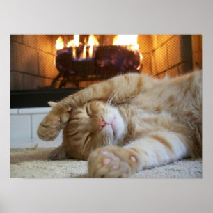 Feuerplatz-Katze Poster