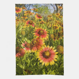 Feuerräder Gaillardia pulchella) Wildblumen Geschirrtuch