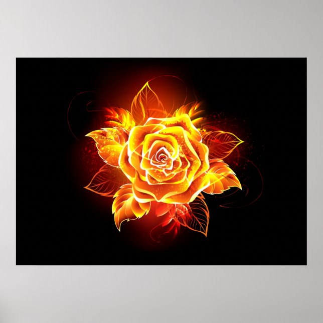 Feuerrose in Blüte Poster (Vorne)
