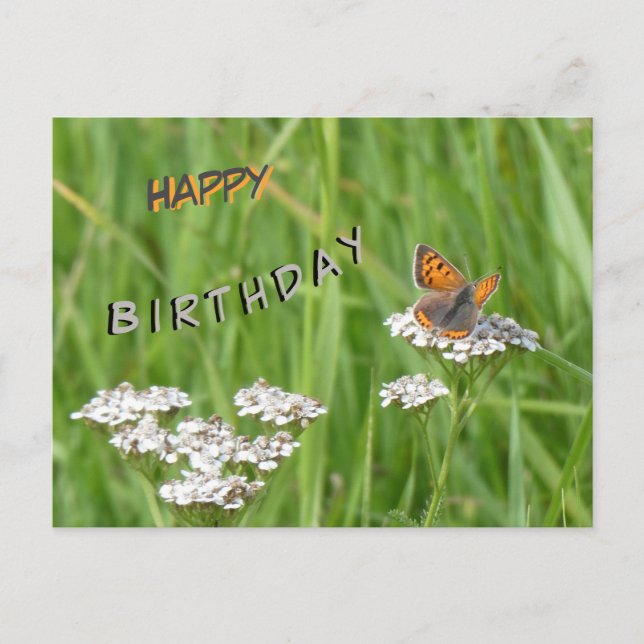 Feuerschmetterlingskust. Happy Birthday Postcard Postkarte (Vorderseite)
