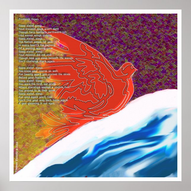 Feuervögel Poster (Vorne)