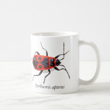 Feuerwanze Tasse