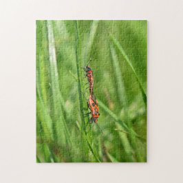 Feuerwanzen in Grüner Natur Puzzle