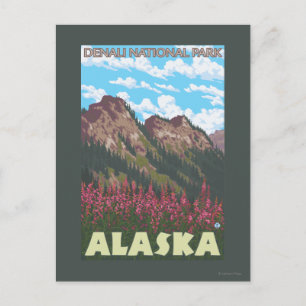 Feuerweed & Mountains - Denali Nat'l Park, Postkarte