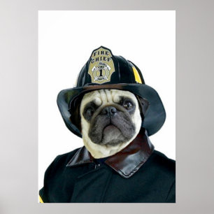 Feuerwehrposter Mops Poster