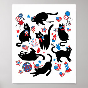 Feuerwerk 4. Juli Schwarze Katze USA Flagge Niedli Poster