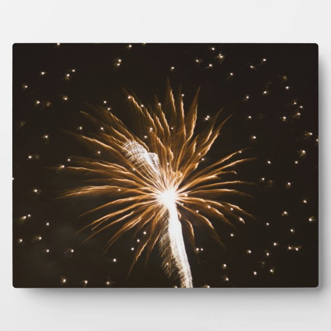 Feuerwerk-Anzeige auf der Savannah River Fotoplatte (Vorderseite)