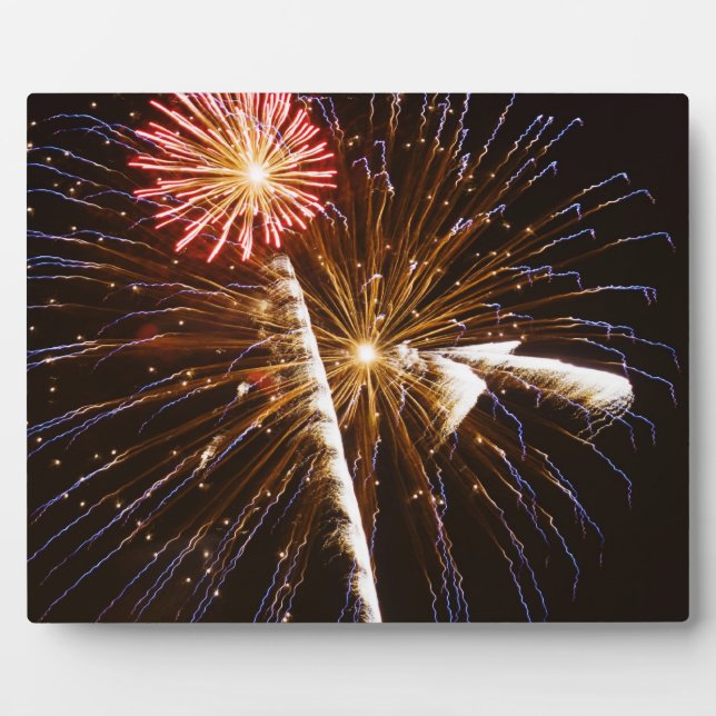 Feuerwerk-Anzeige auf der Savannah River Fotoplatte (Vorderseite)