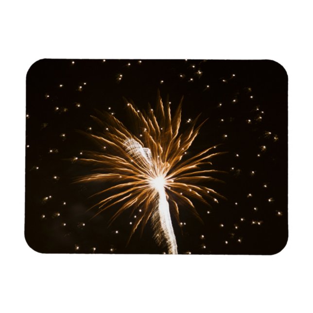 Feuerwerk-Anzeige auf der Savannah River Magnet (Horizontal)