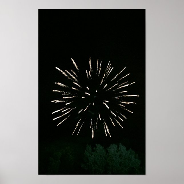 Feuerwerk mit Baum Poster (Vorne)