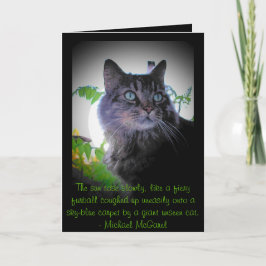 feuriger Furball - Zitat von Mickael McGarel Karte