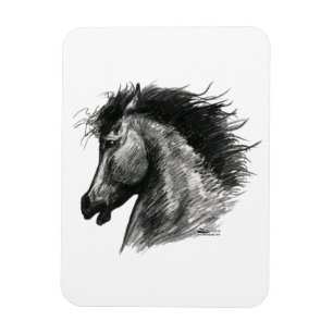 Feuriges Wildpferd Magnet