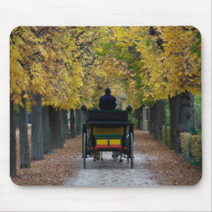 Fiaker in Schönbrunn, Wien Österreich Mousepad
