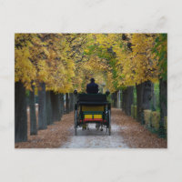 Fiaker in Schönbrunn, Wien Österreich