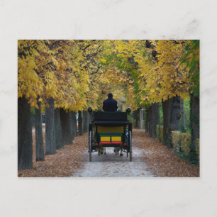 Fiaker in Schönbrunn, Wien Österreich Postkarte