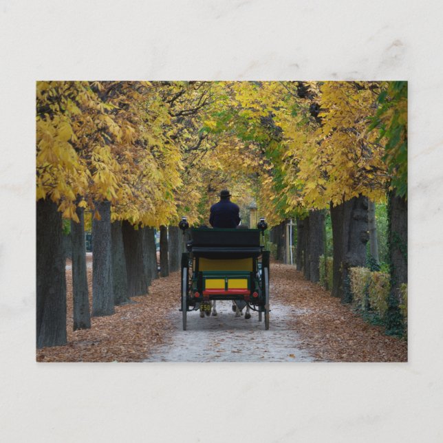 Fiaker in Schönbrunn, Wien Österreich Postkarte (Vorderseite)