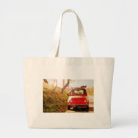 Fiat 500 in Italien