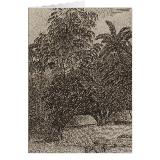 Fiatooka, Tongataboo, Tonga (Vorne)