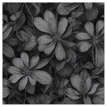 Fibonacci Florals II