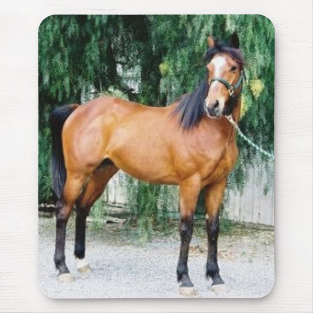 Fibonacci Mousepad (Vorne)