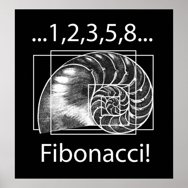 Fibonacci Poster (Vorne)