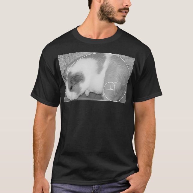 Fibonacci Spiral Funny Math Golden Ratio T-Shirt (Vorderseite)