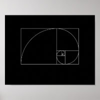 Fibonacci Spiral
