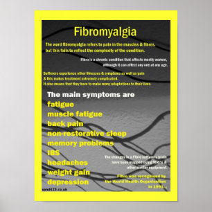 Fibromyalgie Symptome Poster