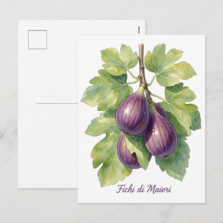 Fichi di Maiori – Italienische Feige Amalfi Coast Feiertagspostkarte