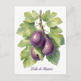 Fichi di Maiori – Italienische Feige Amalfi Coast  Feiertagspostkarte