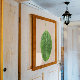 Ficus altissima 'Gelbes Gem' Blatt Poster