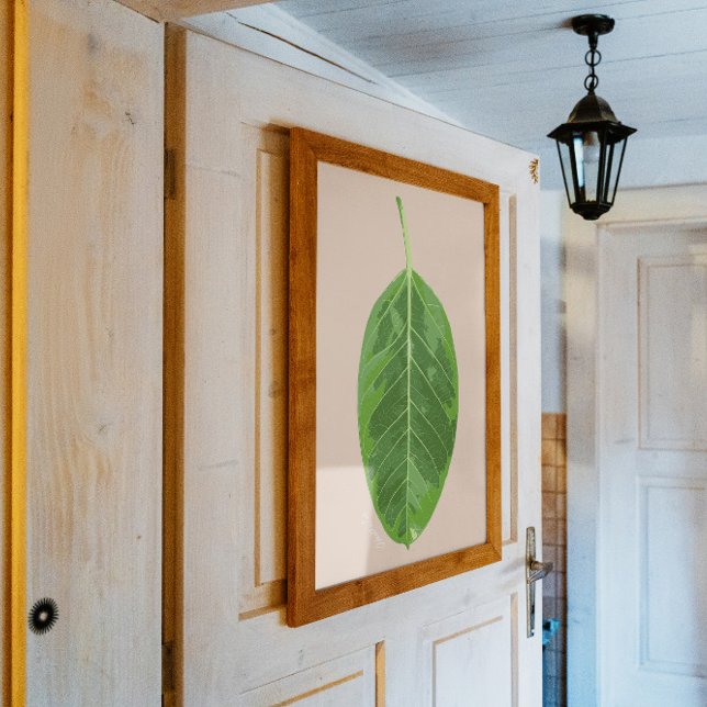 Ficus altissima 'Gelbes Gem' Blatt Poster (Von Creator hochgeladen)