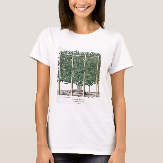 Ficus indica eystettensis, aus dem 'Hortus Eystet T-Shirt (Vorderseite)