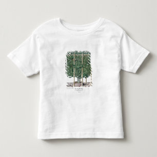 Ficus Indica eystettensis, vom 'Hortus Eystet Kleinkind T-shirt