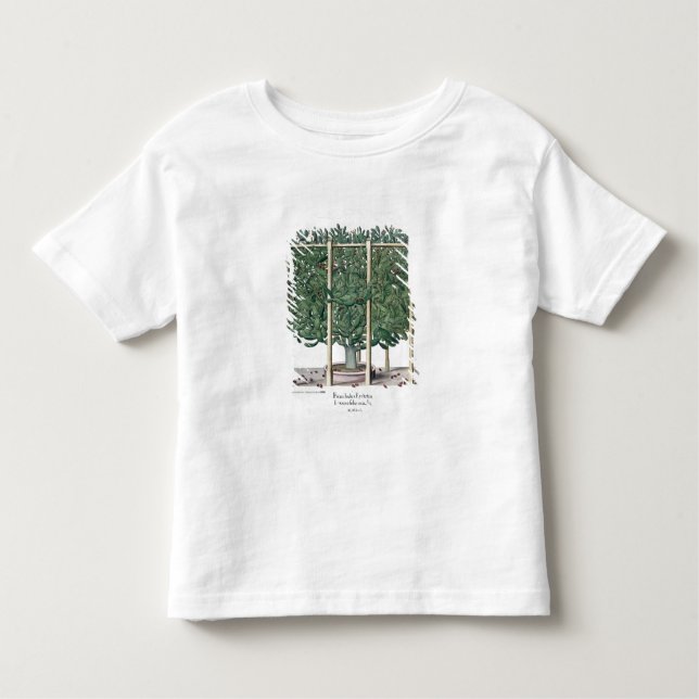 Ficus Indica eystettensis, vom 'Hortus Eystet Kleinkind T-shirt (Vorderseite)