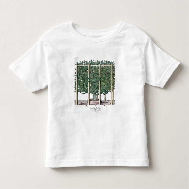 Ficus Indica eystettensis, vom 'Hortus Eystet Kleinkind T-shirt (Vorderseite)
