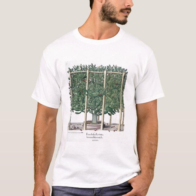 Ficus Indica eystettensis, vom 'Hortus Eystet T-Shirt (Vorderseite)