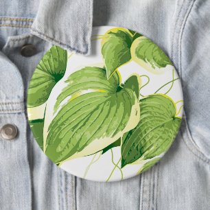 Ficus Pflanze 2 Button