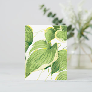 Ficus Pflanze 2 Feiertagspostkarte