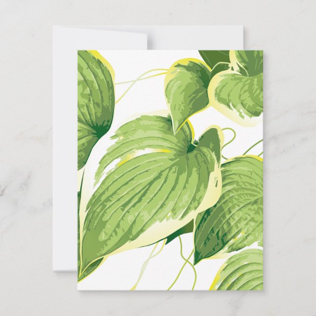 Ficus Pflanze 2 Mitteilungskarte (Vorderseite)