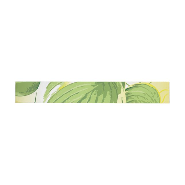Ficus Pflanze 4 (Person)